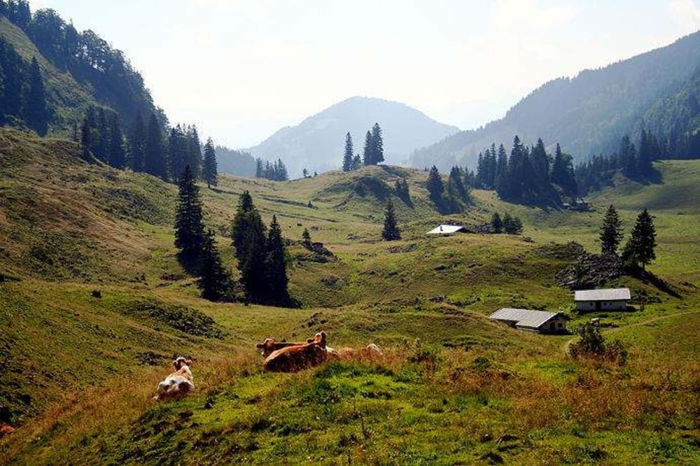 Durchs Trockenbachtal von Frasdorf aus