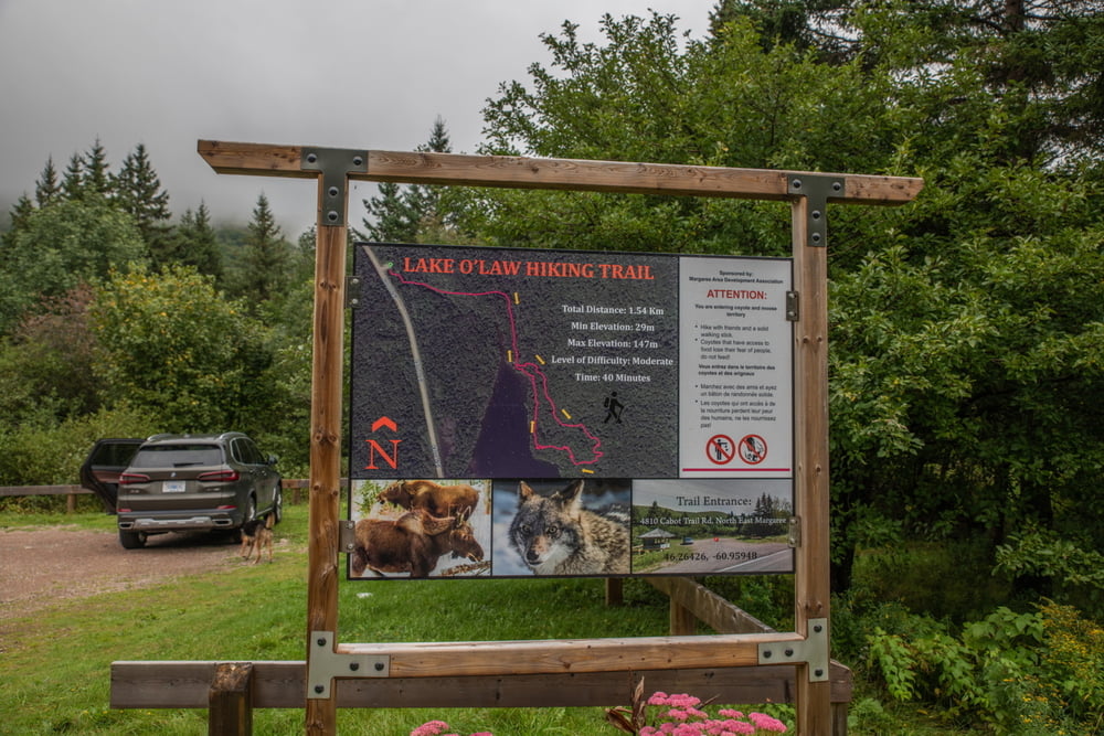 Lake O'Law trail