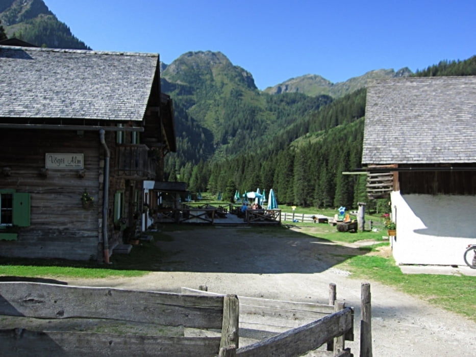 Forstau Vögeialm