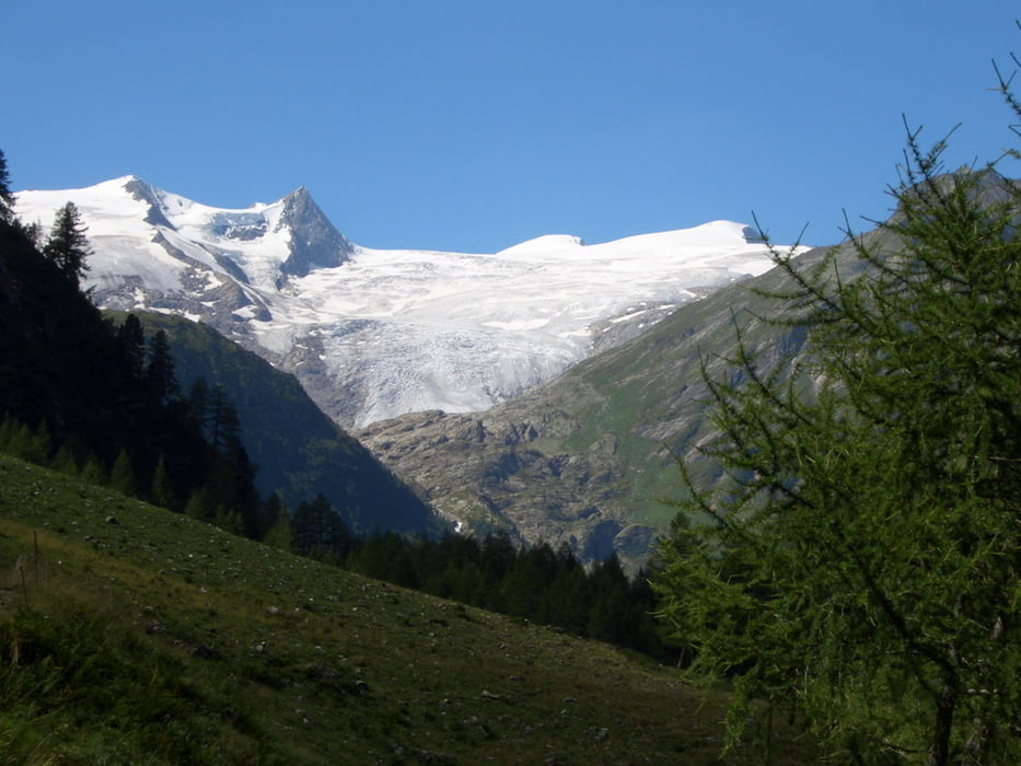 Wildenkogel 