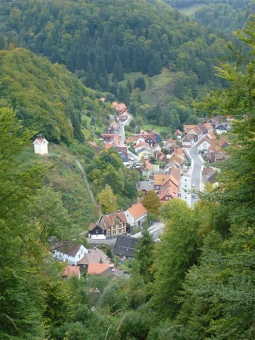 Zorge - Wendeleiche - Roter Schuss - Hammer Schmiede - Pferdchen