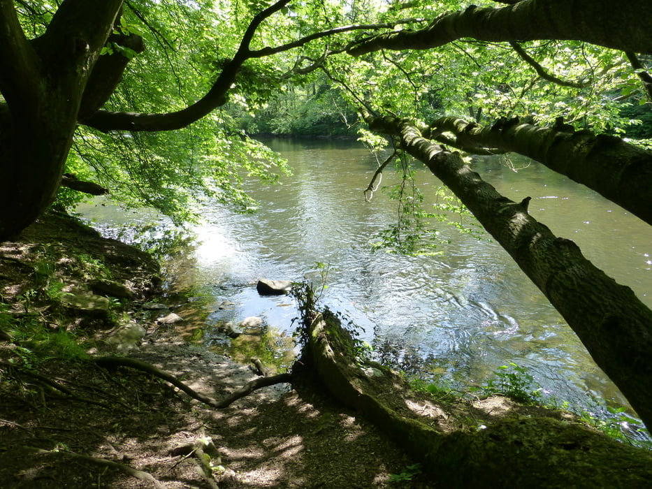 120519 Wupperhöhen