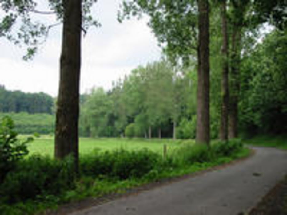 Paderborn-Dahl-Haxtergrund-Schloss Hamborn-PB