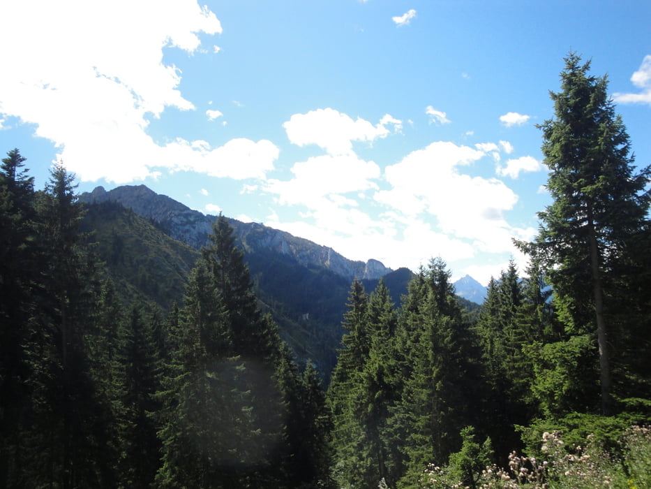 Von Füssen um den Hohen Trauchberg - Erweiterung Hennenkopf, Lobental