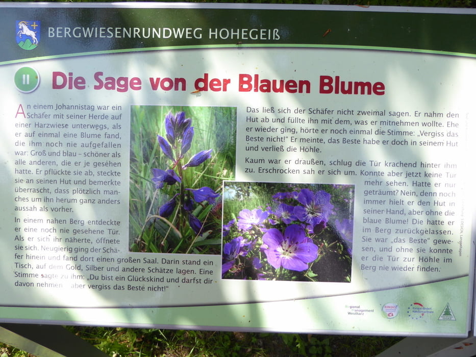 Bergwiesenrundweg Hohegeiß - Niedersachsenlied
