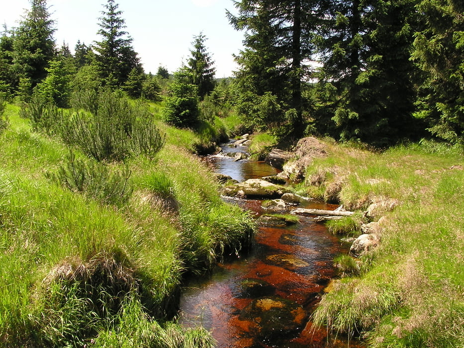 MTBO - Jizerské hory - Bedřichovská 5hodinovka