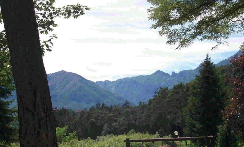 SELVA MARTINA
