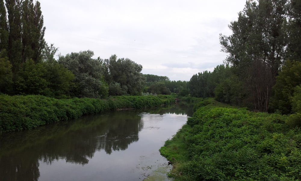 Donau