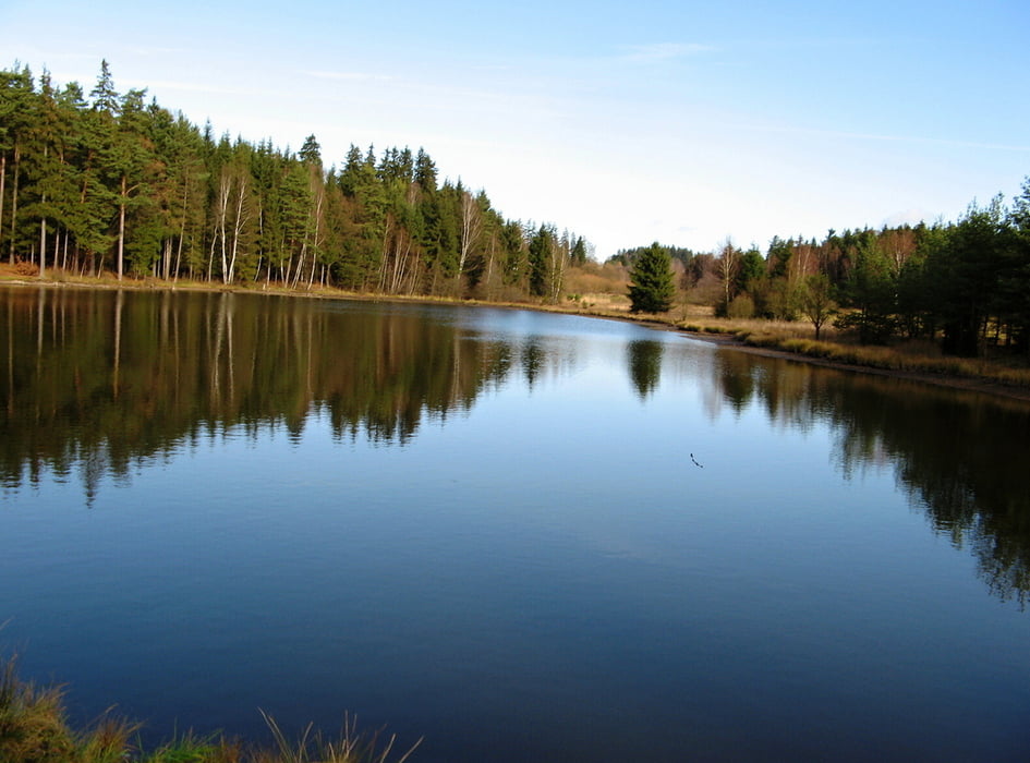 2009.11.15. Asch-Hranice-Dreiländereck-Prex-Raitschin-Fassmannsreuth-Stitary