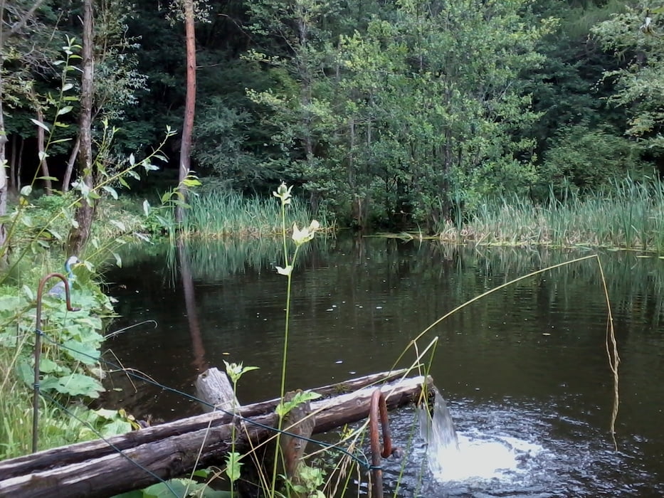 Vom Tollinggraben auf den Veitsberg