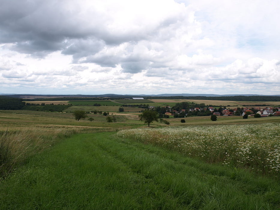 Vom Zeller Damm zum Ellertshäuser See
