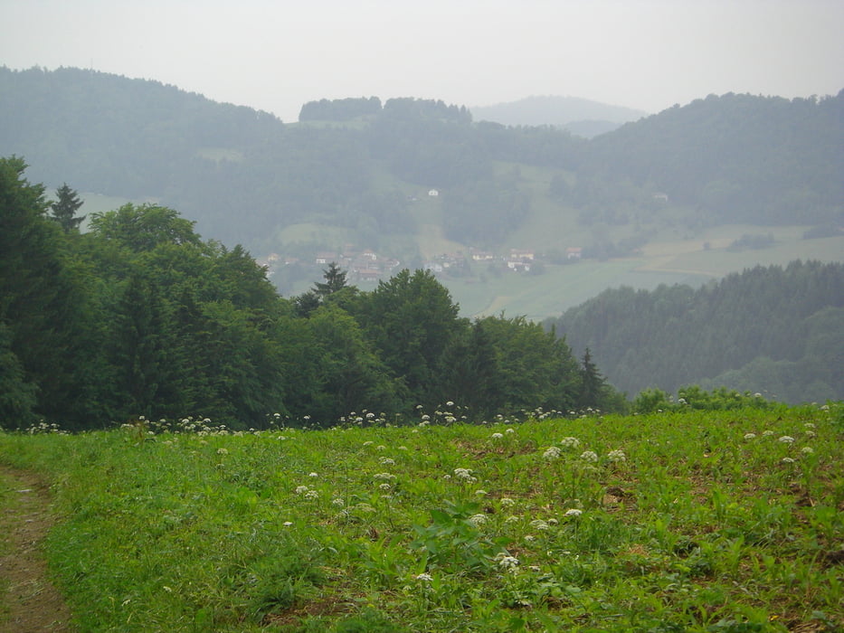 Rundweg Ringelai - Buchberger Leite - Burgruine Neubuchberg - Erasmuskapelle - Buchberg