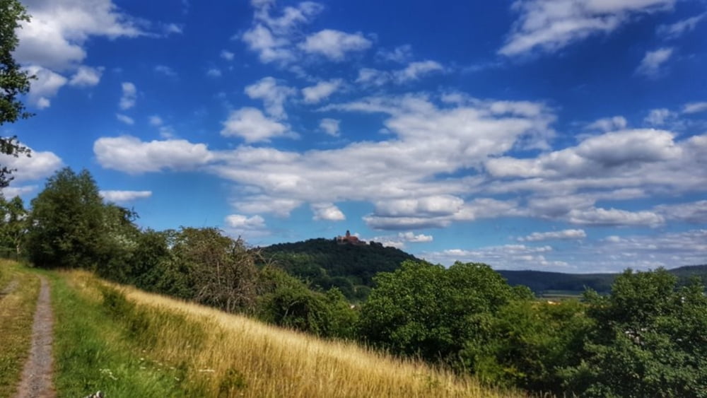 Wald-Amorbach Runde