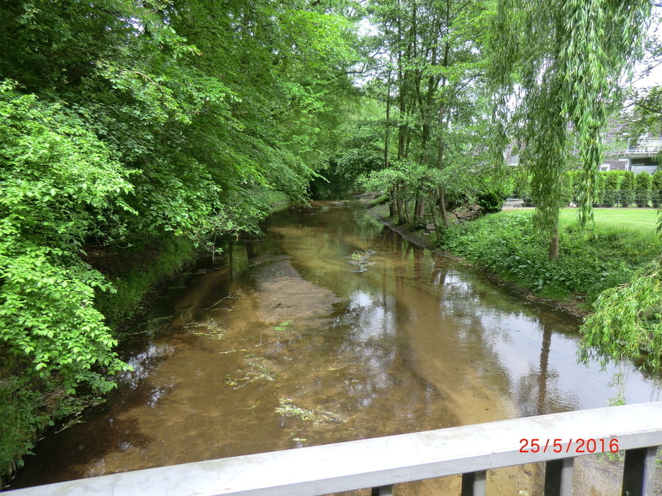 Südliche Flamingoroute