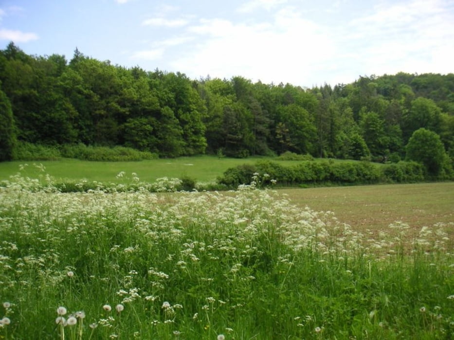 Nittendorf; Sinzing, Eilsbrunn