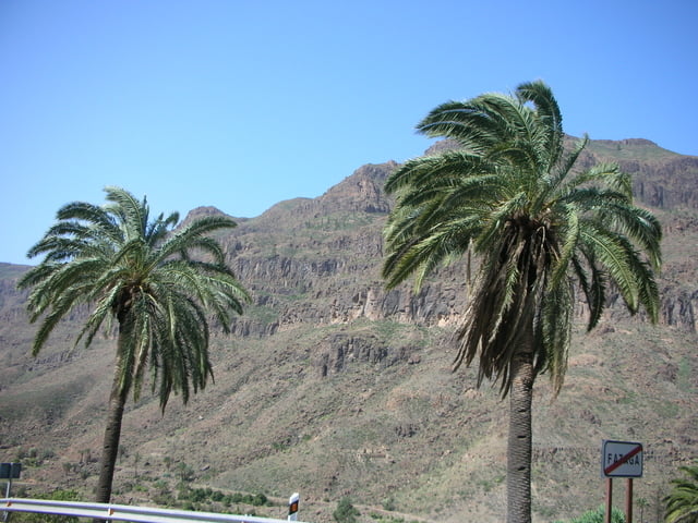 Gran Canaria  Soria-Ayacata-Fataga