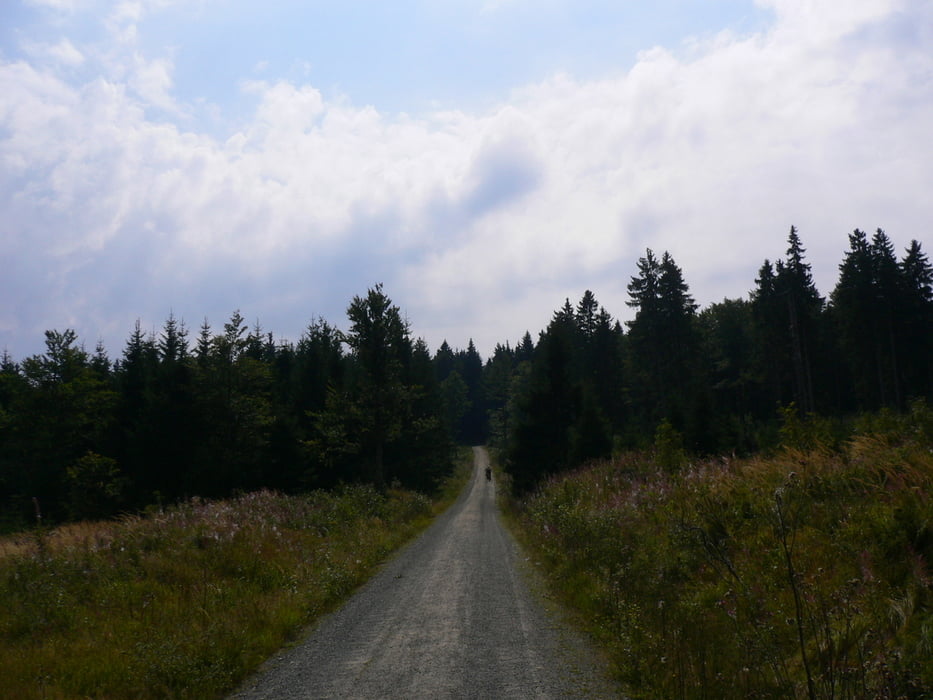 das verlassene Dorf Leopoldsreut mit Witikosteig Wanderweg - downhill