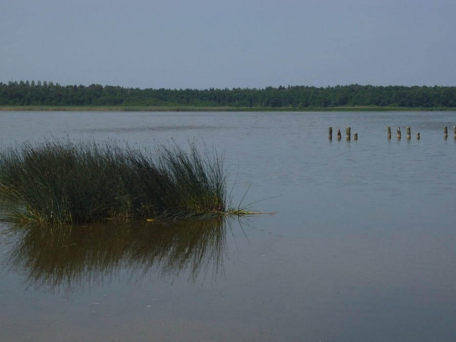 von Leba um den Sarsener See und zur Großen Düne