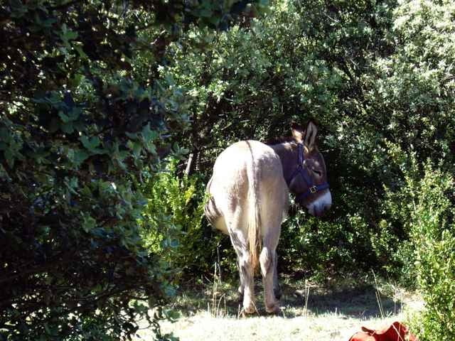 Sentier du Coucouru