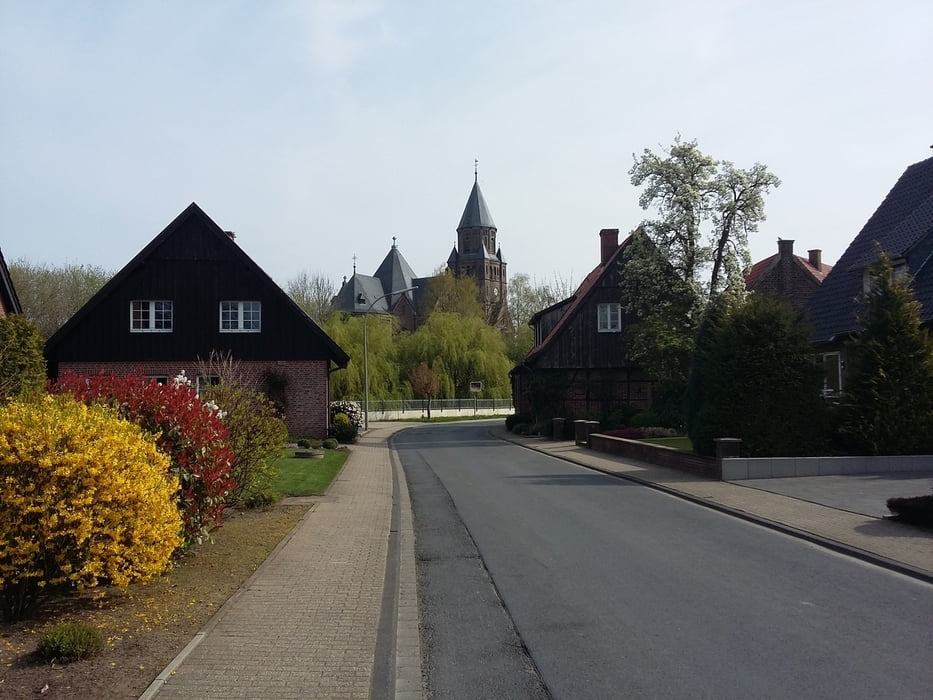 Rund um Dülmen II