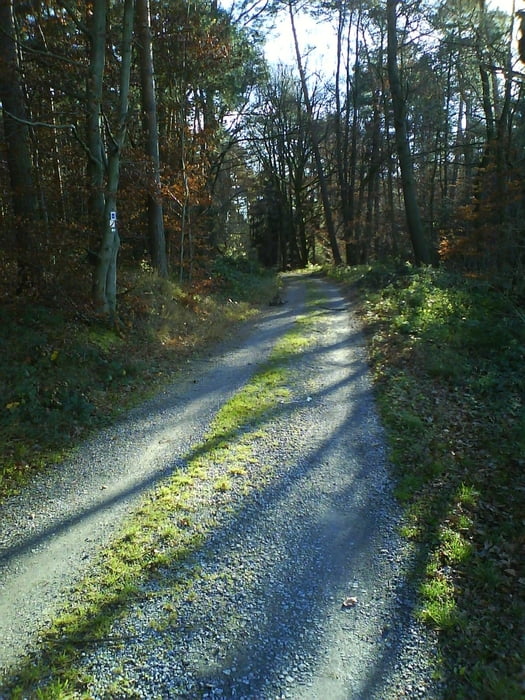 Spessartquerung: 7-Wege