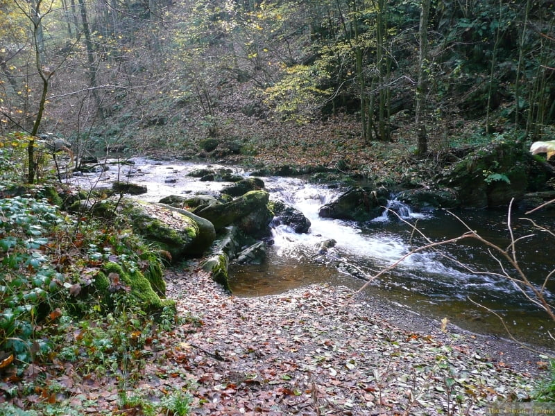 Malmedy Warche 04
