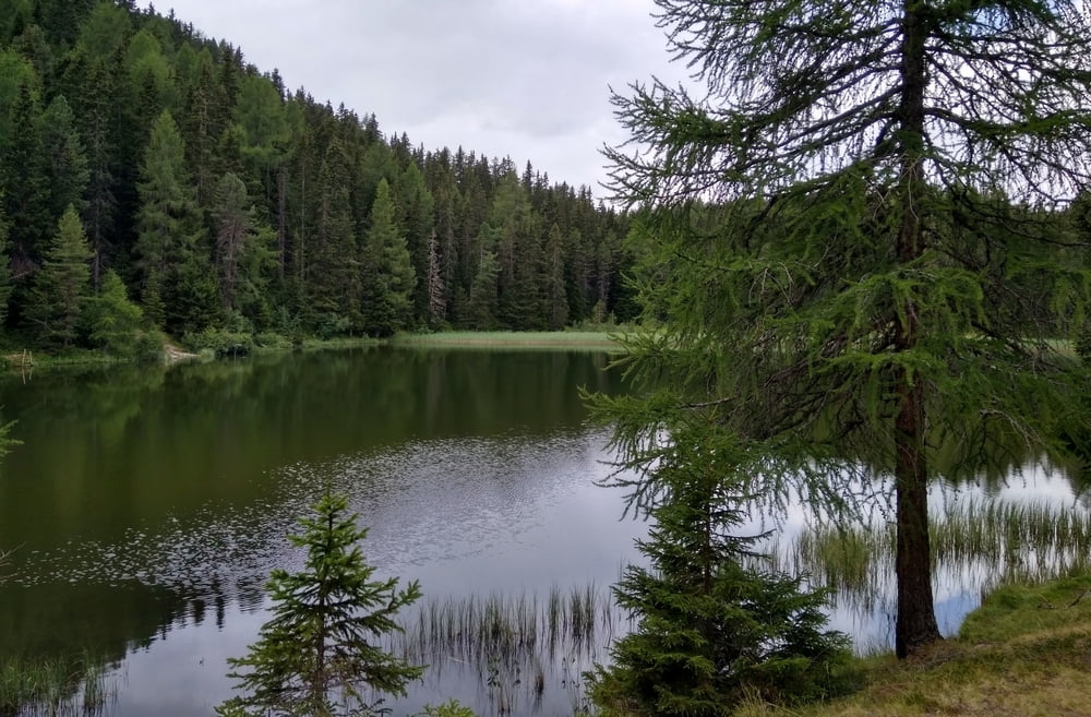 Nauders -Reschen -Rojen -Grünsee -Schwarzer See -Riatsch  -1 x lanovka