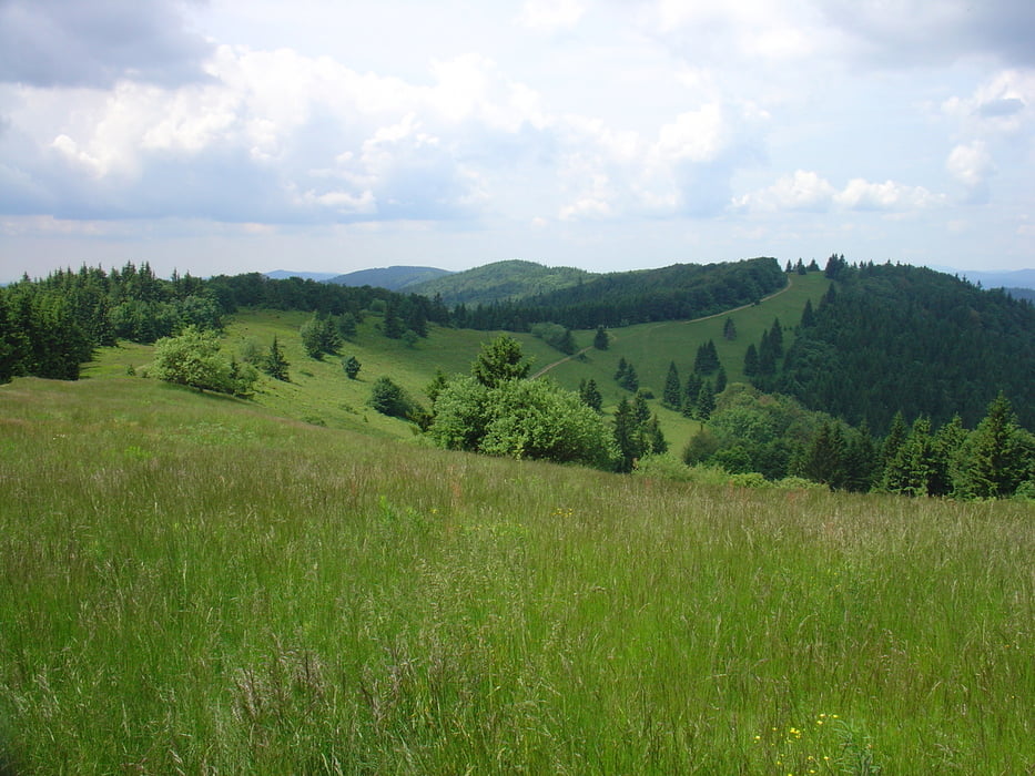 cadca-trencin etapa 2.