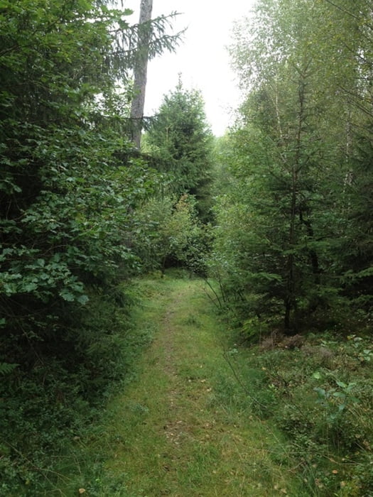 Nischentour MTB 2.0
