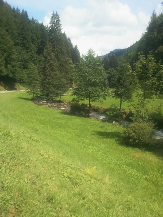Schwarzwaldhöhen 6