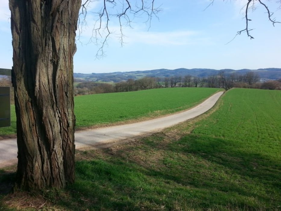 "5 Min Trail" Hambach