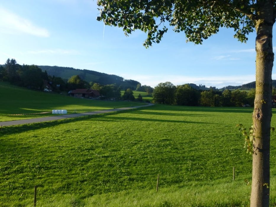 Auf die Thaler Höhe