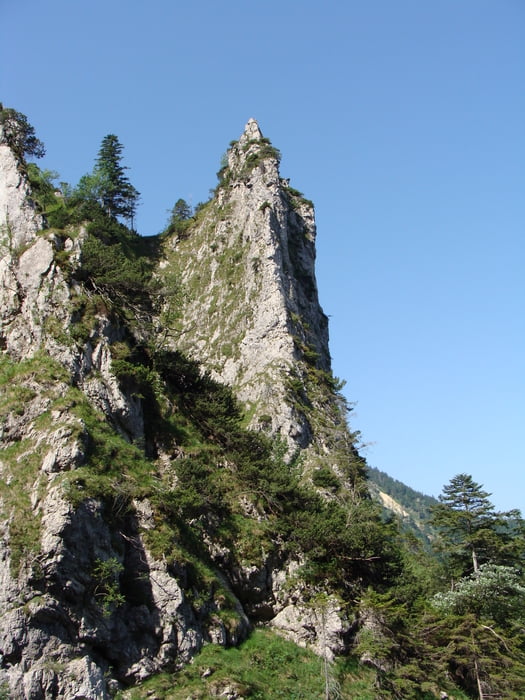Über den Röthlwandkopf zum Hochfelln