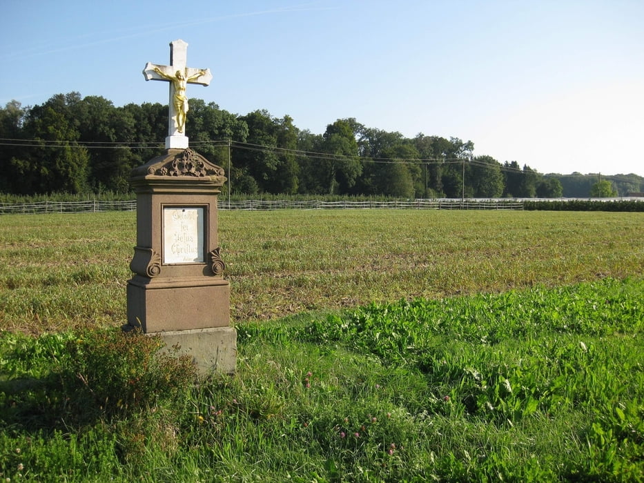Fahrradtour Brochenzellerwald