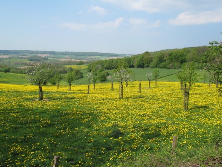 Durch die limburgische Schweiz bei Epen