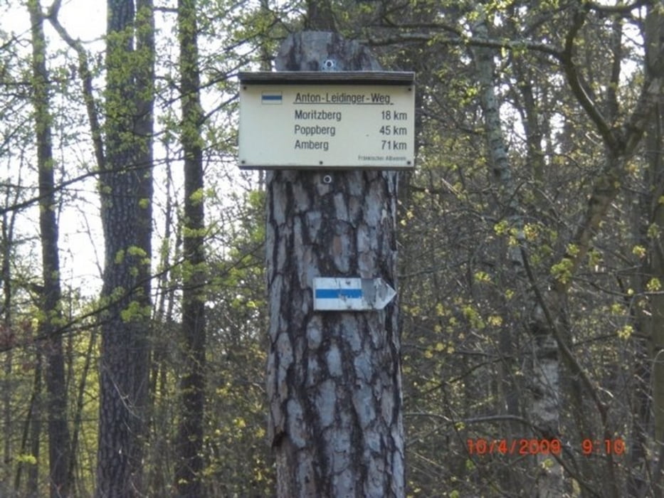 Amberg-Nürnberg auf dem Anton-Leidinger-Weg (Blaustrich)