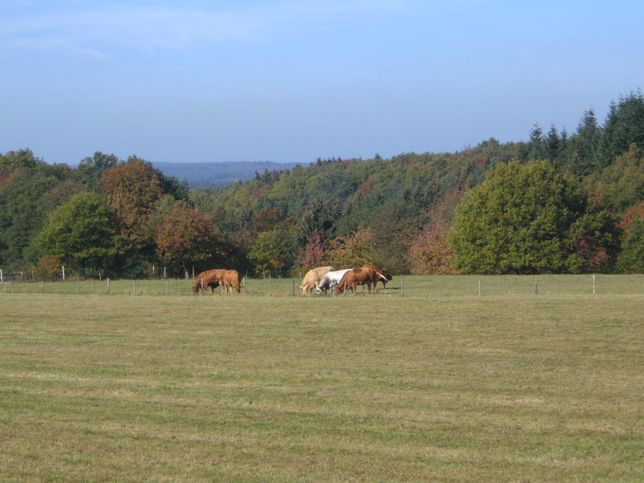 Kretawetter in der Eifel