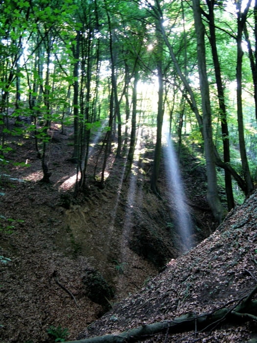 Rheinsteig von Linz nach Leutesdorf