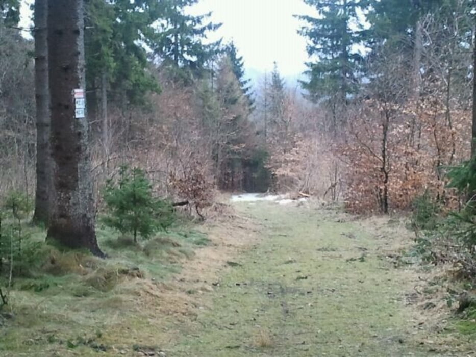 Erste Geister ( Ghost ) - Tour zur Radspitze