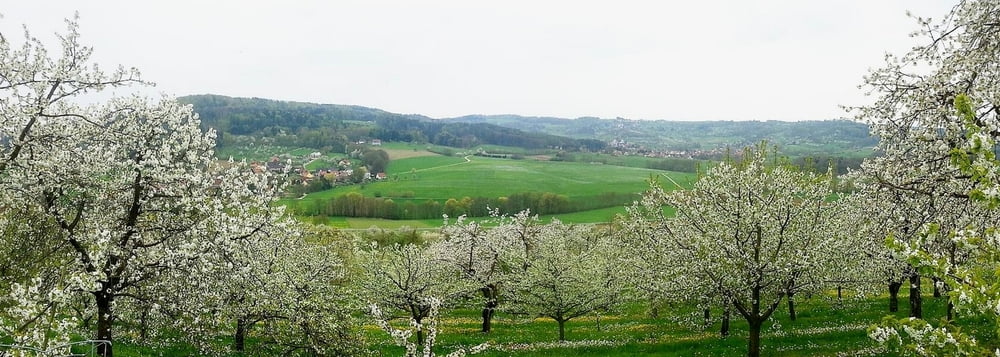 Wandern Franken: Kirschblüte bei Igensdorf, Kreis Forchheim