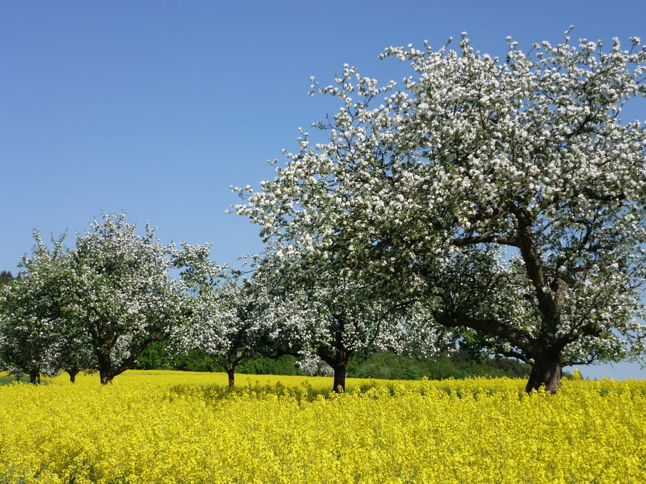 Von Niedernhausen über 3 Gipfel