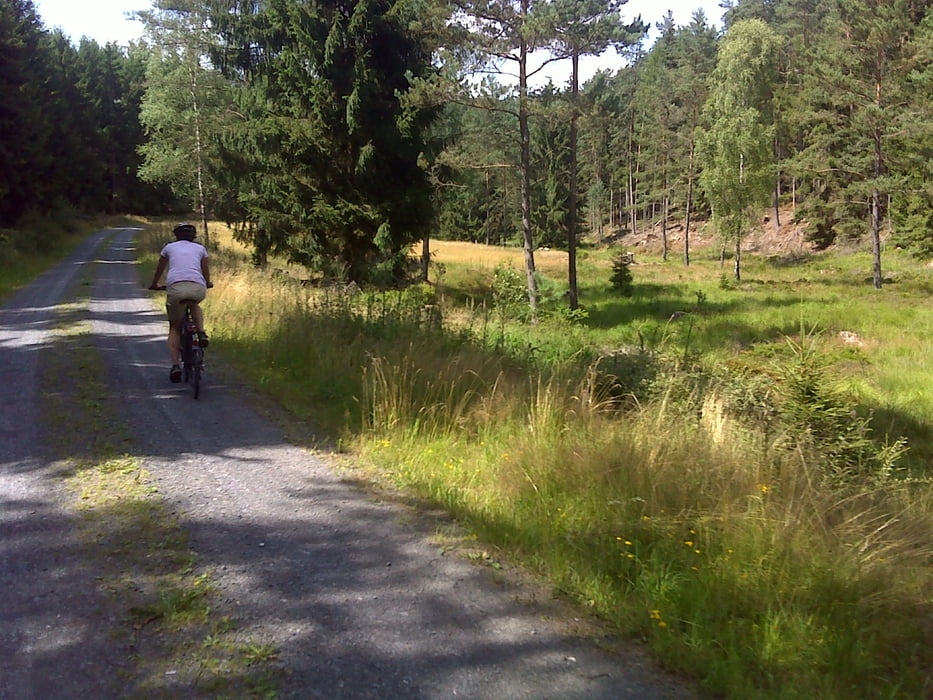 Burgwaldradweeg meets Otto-Ubbelohde Radweg