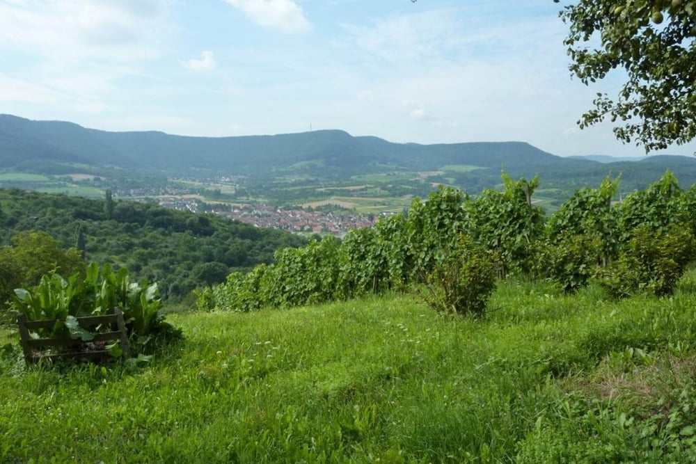 Von Nürtingen auf die Sirchinger Alb