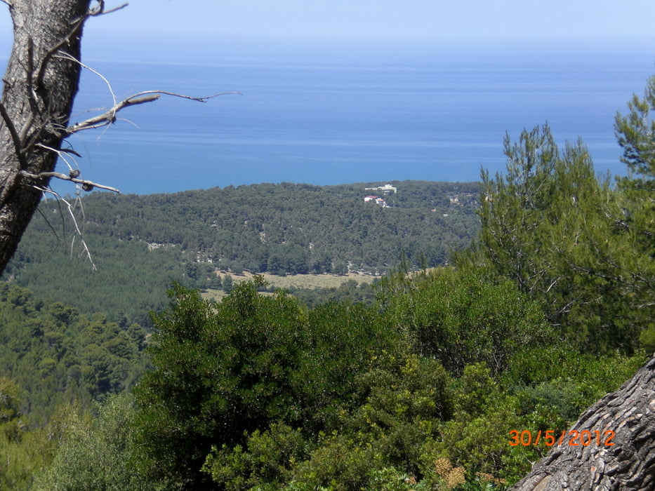 Gargano-Foreste Umbra 3
