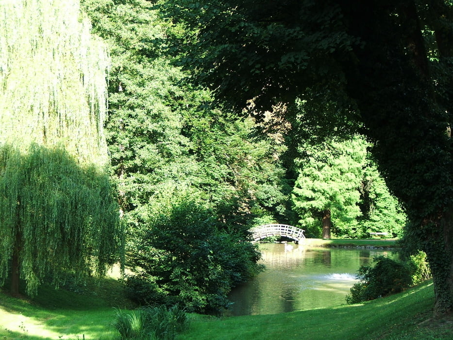 Odenwald: Felsenmeer