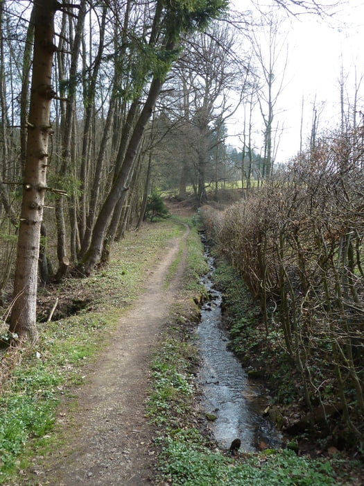  Bensberg und Lerbach aus Rother Wanderführer -Bergisches Land- Nr.15