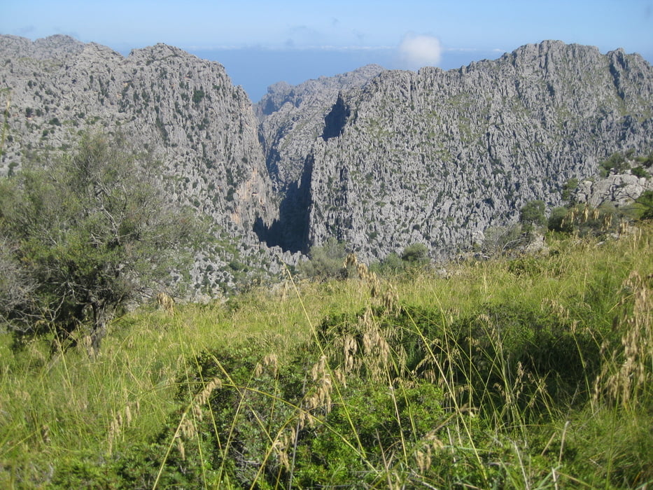 Torrent de Pareis