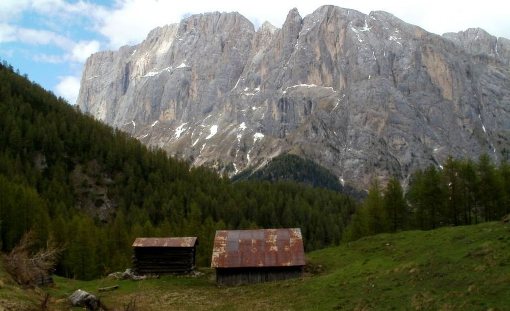 Forc. Franzedas ( Marmolada Cime d'Auta)