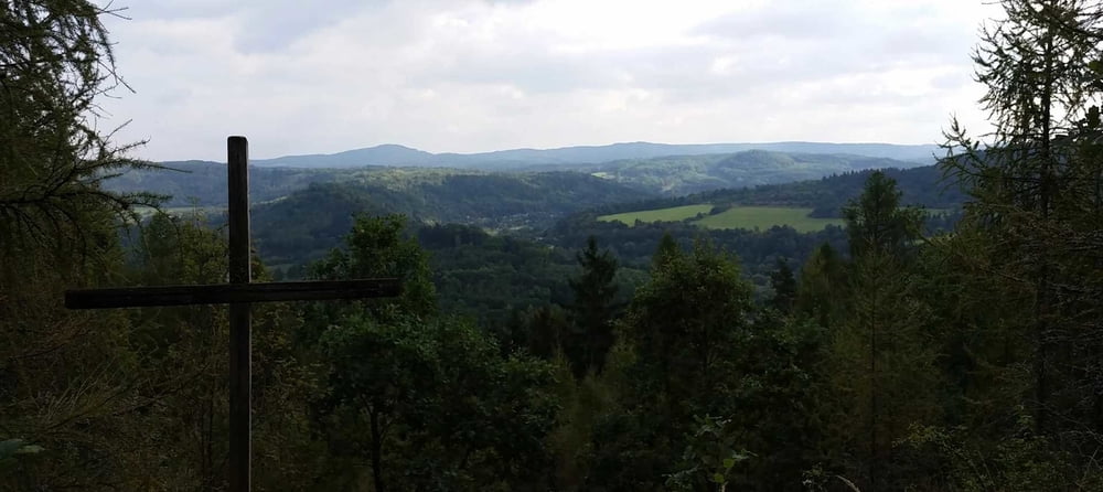Pulec-Runde-CZ