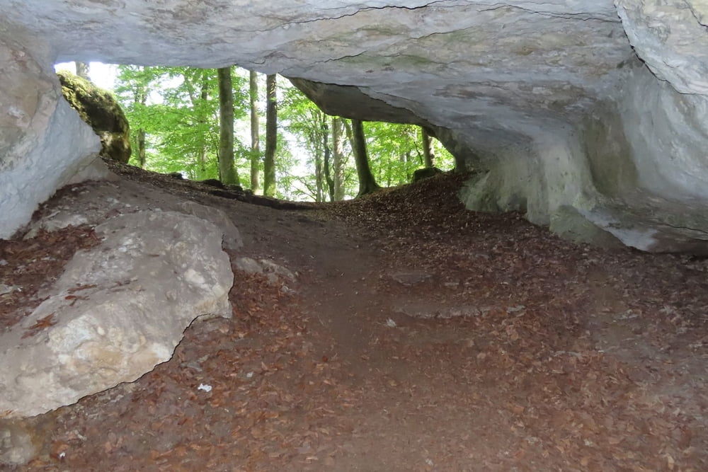 Pegnitztal-Radweg, als Rundtour von Neukirchen aus